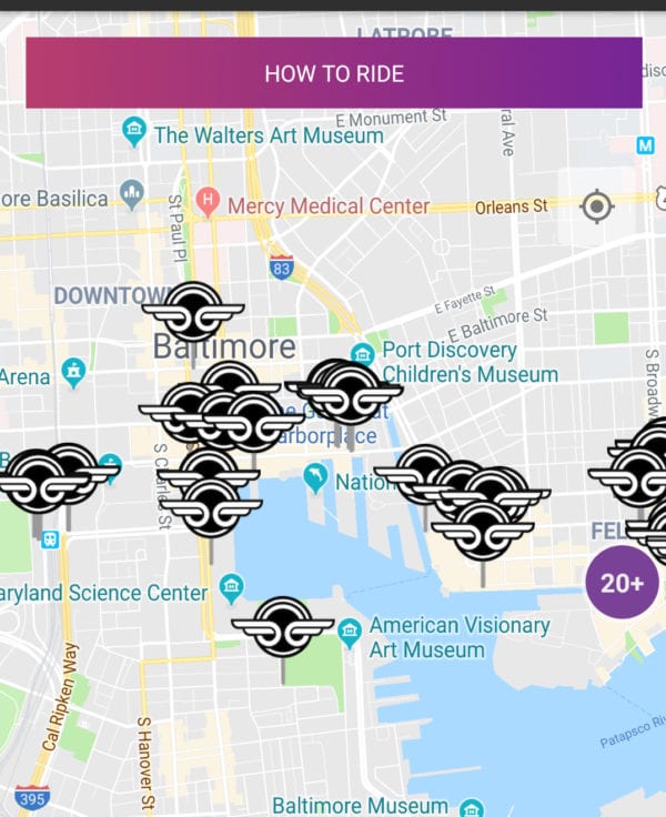 Baltimore Fishbowl Bird locations