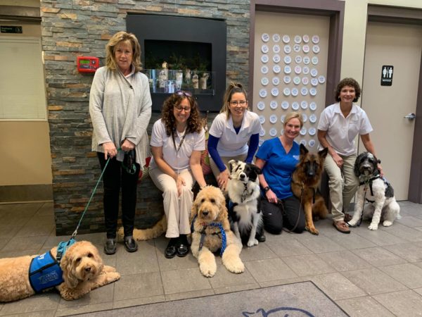 Bill would allow support dogs for children in courts