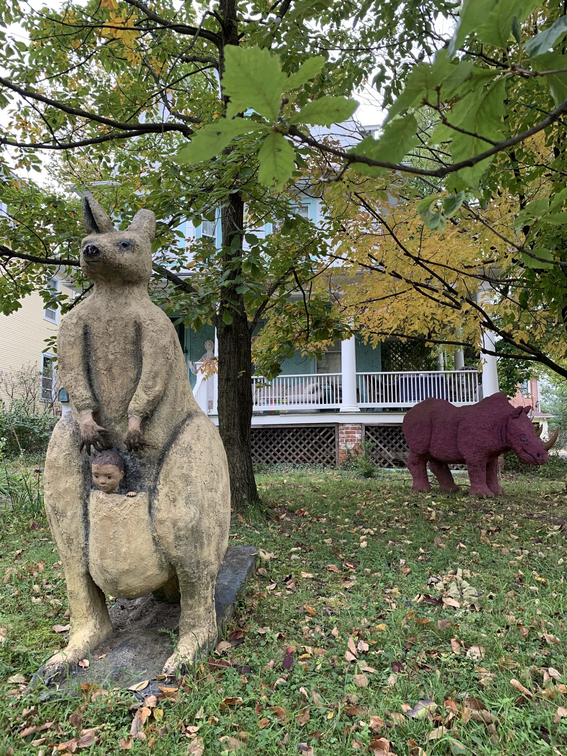 Baltimore Fishbowl Walkable and Slightly Weird 9 1/2 Hours in Takoma