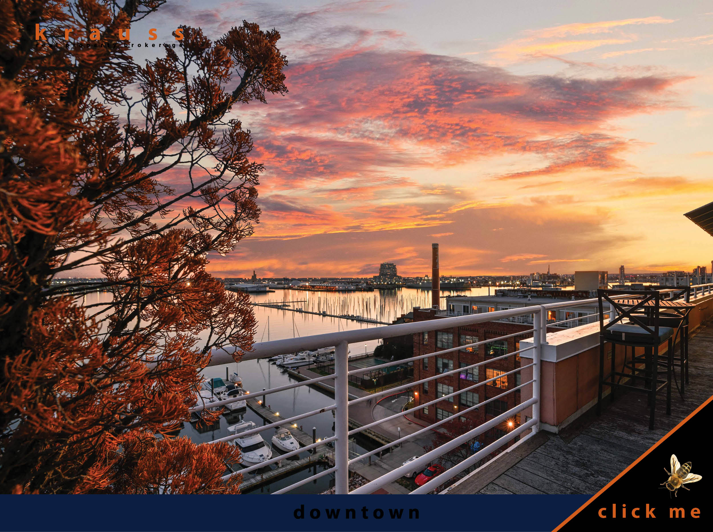Baltimore Fishbowl | boston-fishbowl2