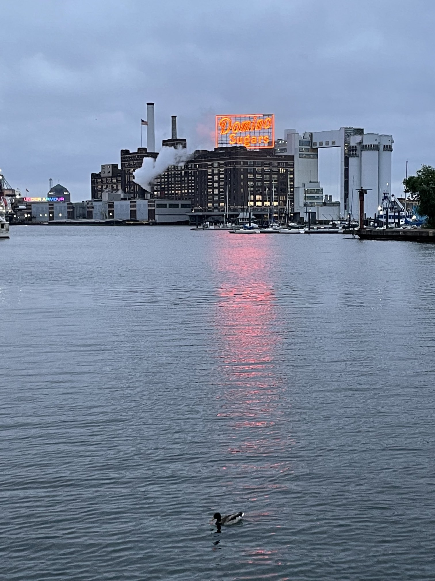 Baltimore Fishbowl | Baltimore Morning 6.5.23 Lippman