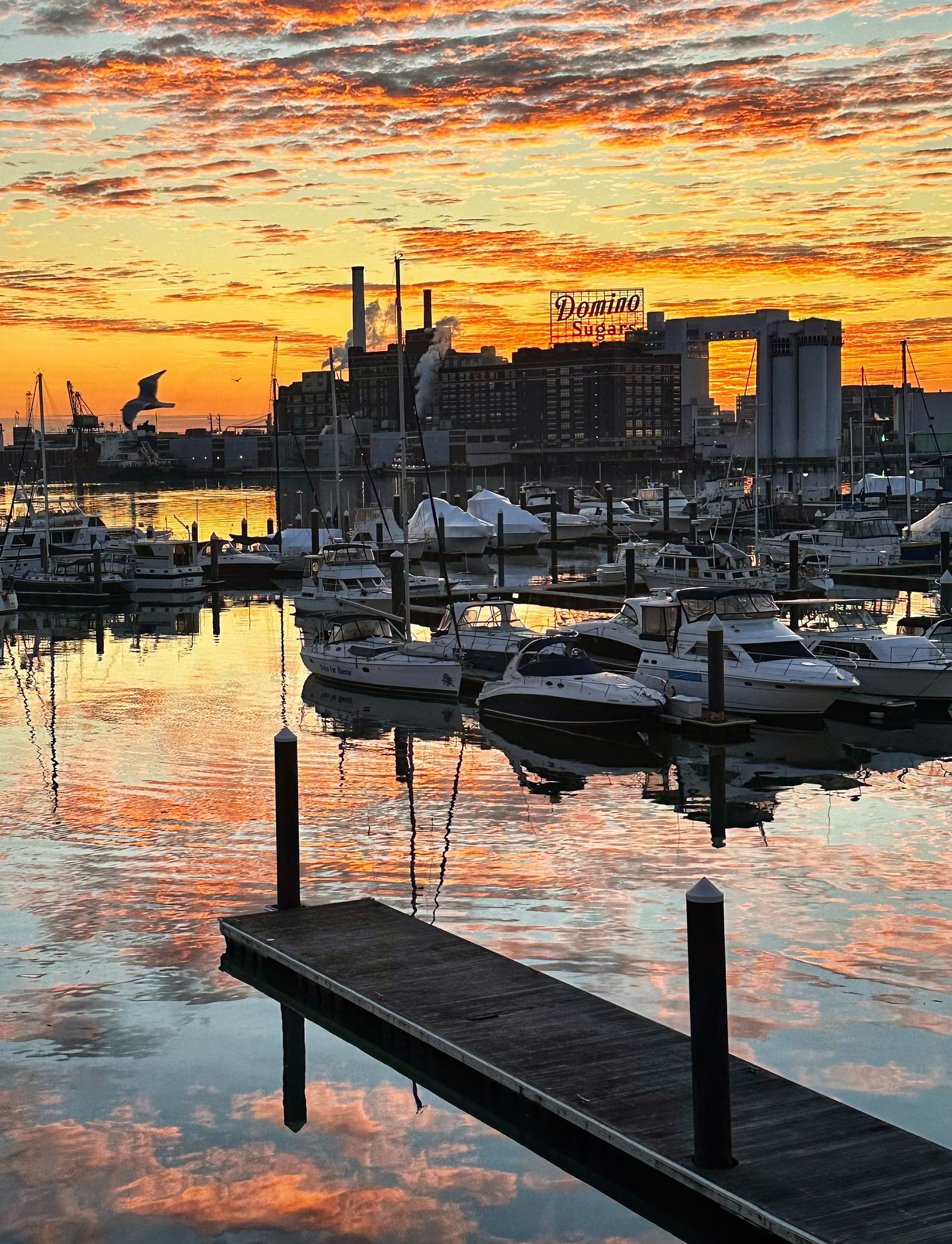 Baltimore Fishbowl | Maryland economy stagnant since 2017, Comptroller ...