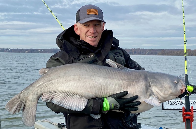 U.S. House passes bill tackling invasive blue catfish in Chesapeake Bay