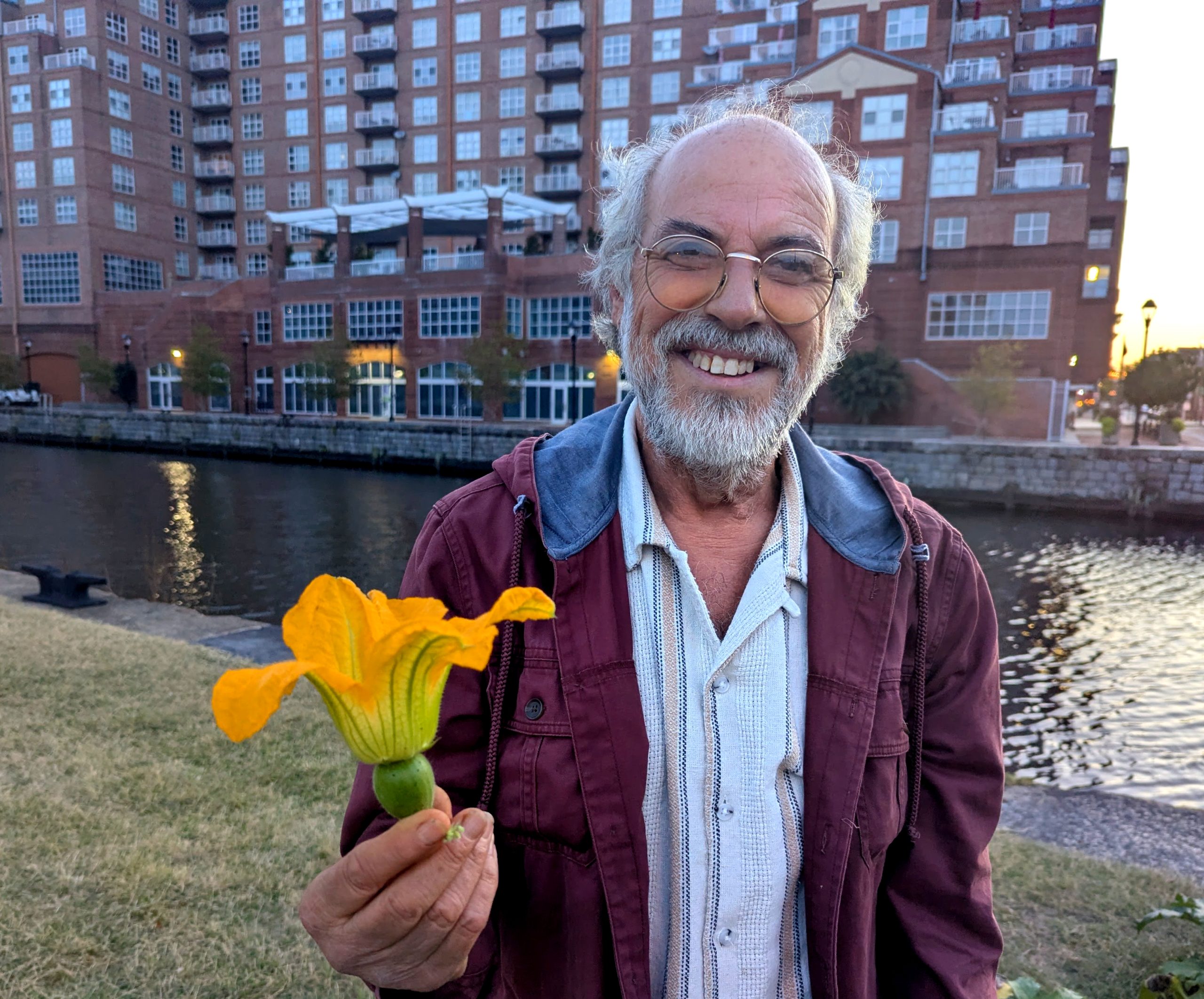 Dan Rodricks: Appreciating the delicacy of zucchini flowers