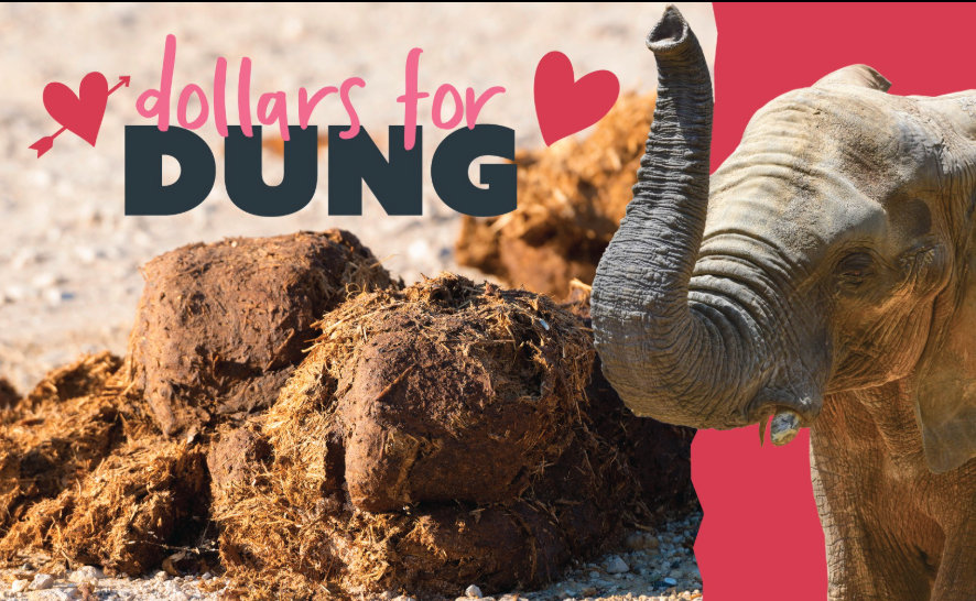 Is your ex a snake? The Maryland Zoo will name a pile of dung after them!