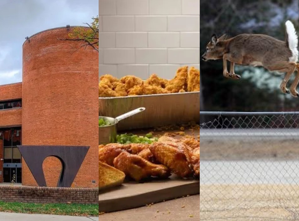 Baltimore Fishbowl | Top Stories 02.16.2026