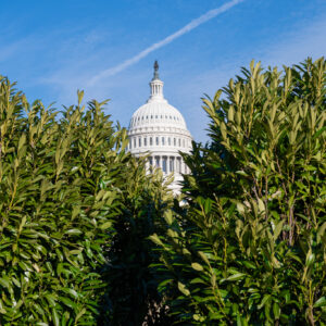 As Congress debates agricultural trade, Maryland farmers feel the impact
