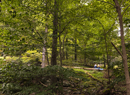 Maryland seeks public input on draft Land Preservation and Recreation Plan