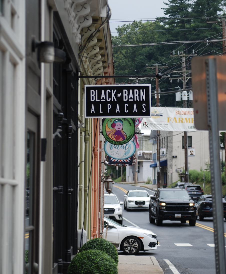 Black Barn Alpacas Brings Farm-to-Main Street Charm to Downtown Sykesville