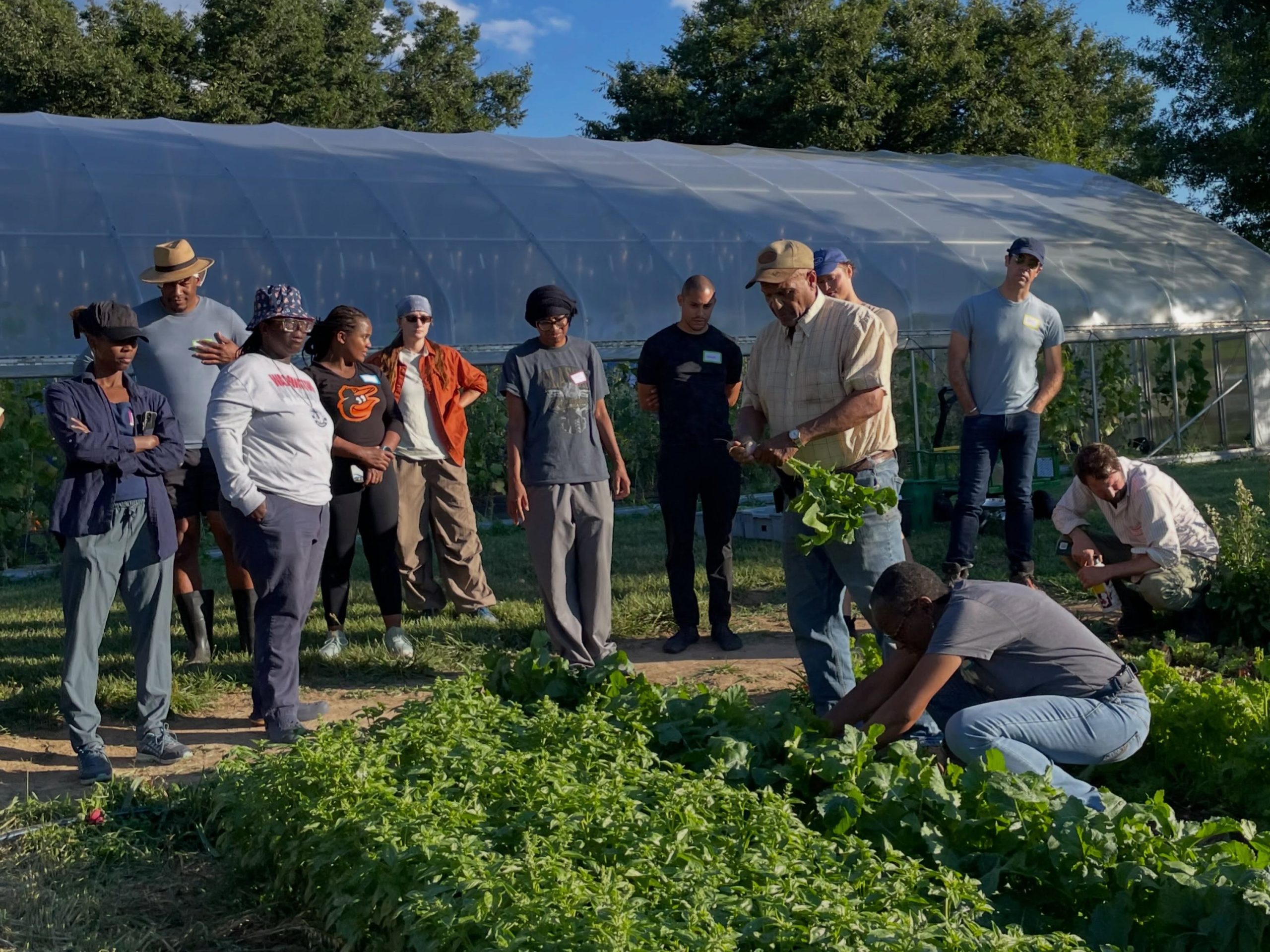 Md. awards $3.65M to expand fresh food access in food deserts