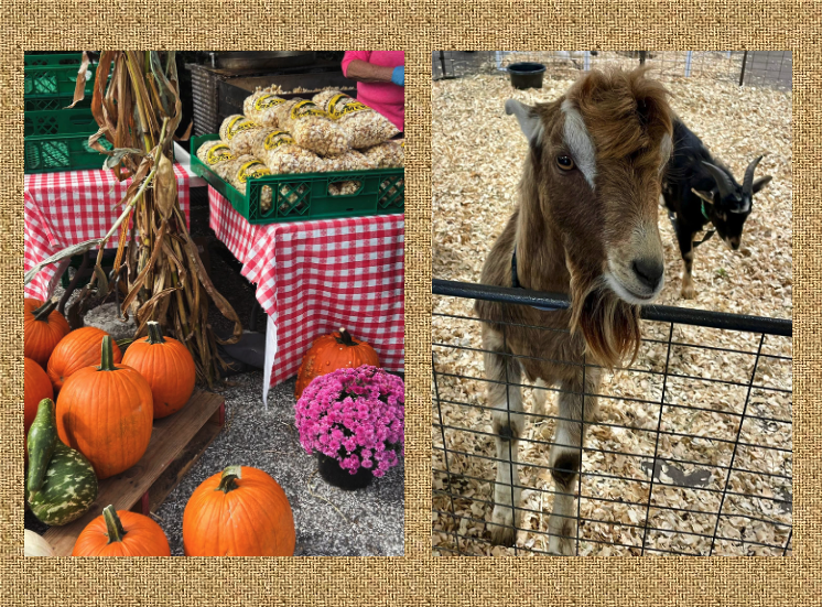 Cool off with thoughts of (and tickets to) the Maryland Fall Home & Garden + Craft Show