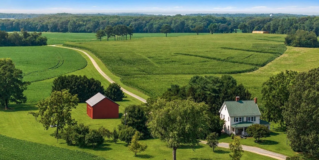 Hot House: Be the next owner of the 1,000-acre Tulip Forest Estate